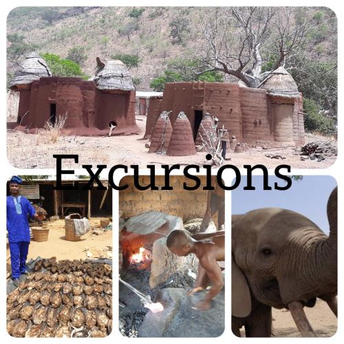 a collage of pictures of an elephant and a building at CASE de ROBINSON in Lomé