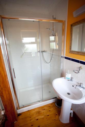 a bathroom with a shower and a sink at Evergreen Bed & Breakfast in Swords