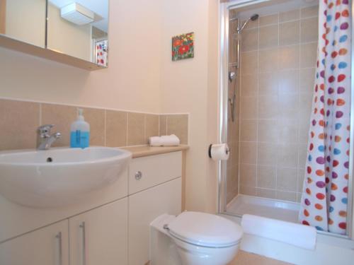 La salle de bains est pourvue d'un lavabo, de toilettes et d'une douche. dans l'établissement Allanfield Townhouse, à Édimbourg