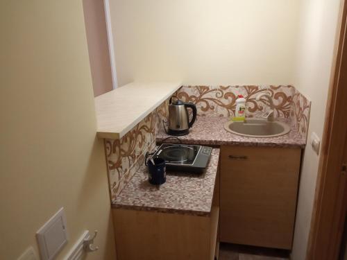 a small kitchen with a sink and a counter at Коломийський провулок 17/31А (1 комнатная) in Kyiv