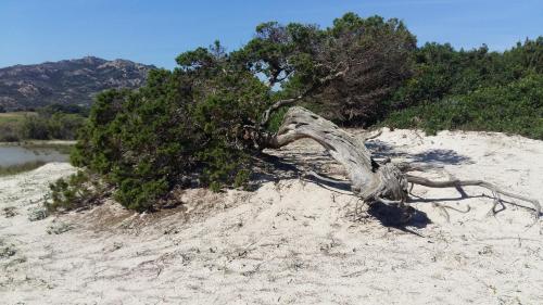 Φυσικό τοπίο κοντά σε αυτή η παραθεριστική κατοικία