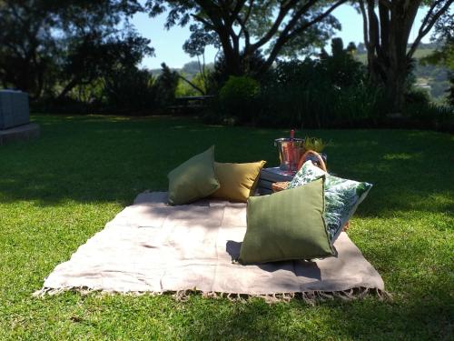 a blanket with pillows on a table in the grass at Matusadona Guest Lodge in Hillcrest