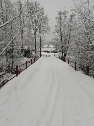 a snow covered road with a fence and trees at Pensiunea Mara in Deseşti