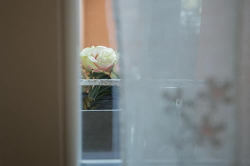 a flower in a vase on a shelf at Lanterna Room&Breakfast in Carpi