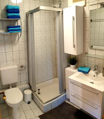 a bathroom with a shower and a toilet and a sink at Wohlfühl-Apartment Bad Kissingen I in Bad Kissingen