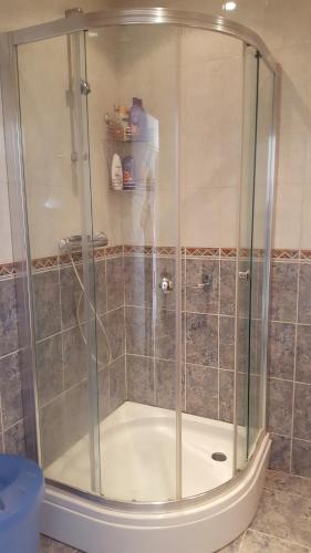 a shower with a glass enclosure in a bathroom at Vakantiehuis de wilgenhof in Wetering