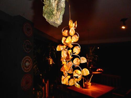 a bunch of flowers hanging from a ceiling at Pura Vida Hotel in Alajuela City