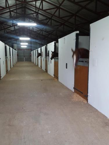 Galeriebild der Unterkunft Prosper Stud Guest House in Robertson