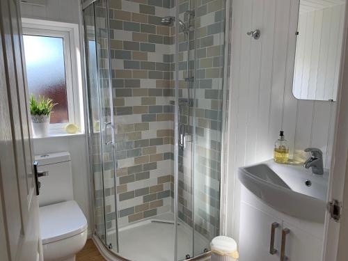 Owls House, White Cross Bay, Ambleside, Windermere tesisinde bir banyo