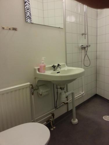 a bathroom with a sink and a toilet at Fjällbacka Pensionat och Vandrarhem in Fjällbacka