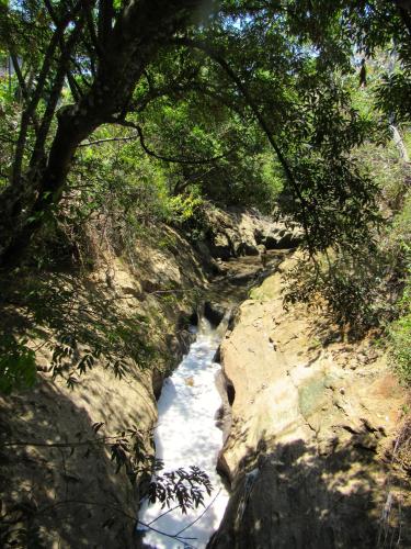 a river in the middle of a forest with trees at Cariari Bed & Breakfast in San José