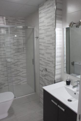 a bathroom with a shower and a toilet and a sink at Apartamentos Margo 2 in Málaga