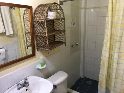 特納的住宿－Jungle Lodge El Jardin Aleman，一间带水槽、卫生间和淋浴的浴室