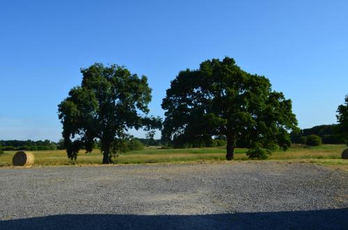 Gallery image of La Ferme Du Blanchot in Crossac