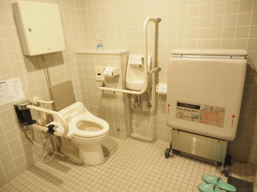 a bathroom with a toilet and a sink at Shin-Osaka Youth Hostel in Osaka