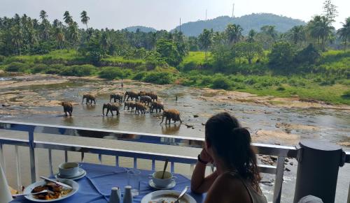 Gallery image of Hotel Elephant Park "Grand Royal Pinnalanda" in Pinnawala