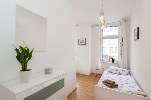 a white living room with a chair and a window at Ferienwohnung Petersberg in Erfurt