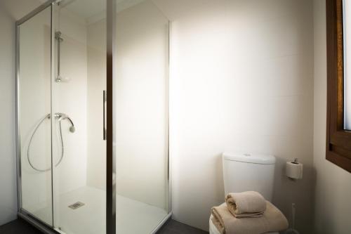 a bathroom with a glass shower and a toilet at Apartamento El Pedregal Playa de Ris in Noja