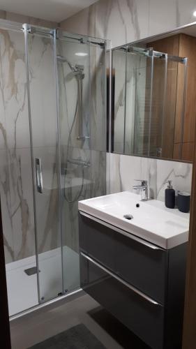 a bathroom with a sink and a shower at Apartament Stara Gazownia in Zielona Góra