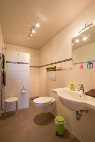 a bathroom with a toilet and a sink at Wiesenblick in Pellworm