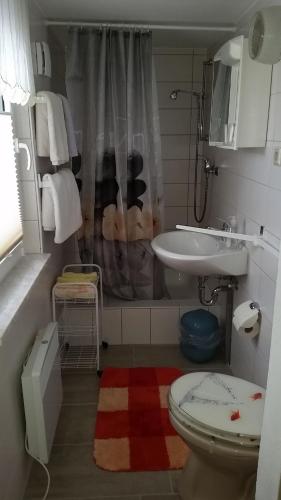 Bilik mandi di Ferienhaus Stolle