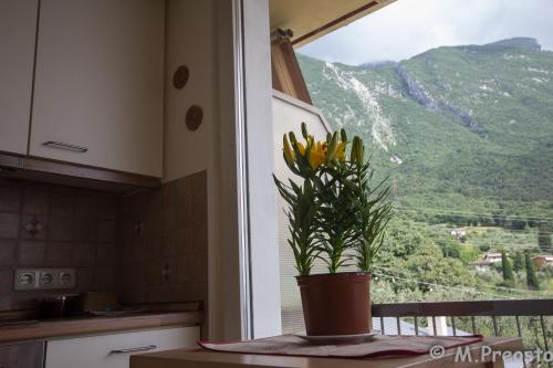 Gardabellevue – Photos 2