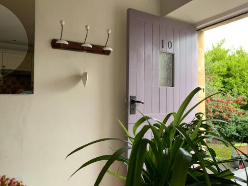 a house with a plant in front of a door at Weaver's Cottage @ Number 10 in Bradford on Avon