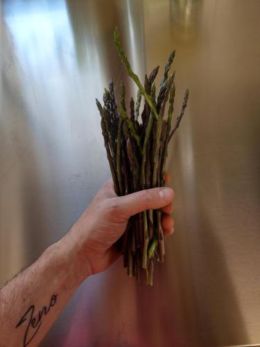 a hand holding up a bunch of asparagus at Agriturismo Il Cavallino Saturnia in Semproniano