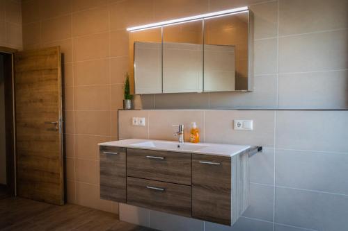 a bathroom with a sink and a mirror at Landhaus Ferienwohnungen mit Pool und Wellness in Neukirchen-Balbini