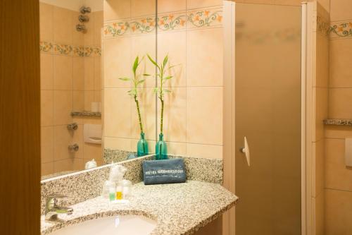 a bathroom with a sink and a mirror at Hotel Gremersdorf - Zum Grünen Jäger in Gremersdorf