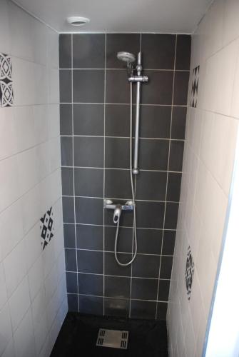 une salle de bain avec douche aux carreaux bleus et blancs dans l'établissement Le 110 Bis, à Amboise