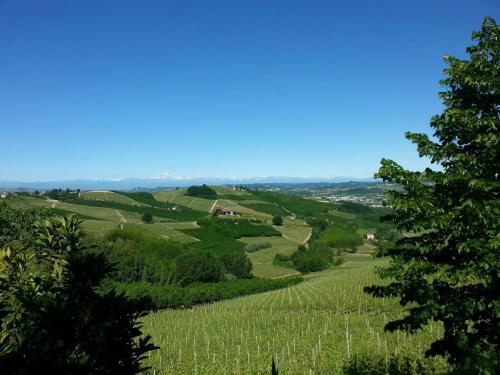 Cà Trifolera Barbaresco - Affittacamere con vista vigneti - Bagno privato- Free Parking Wi-Fi -