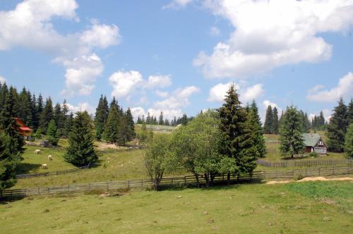 a field with a fence and trees and a house at Cabana Moţilor in Mărişel