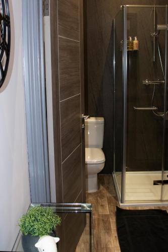 a bathroom with a toilet and a glass shower at Warwick Road Studios in Beaconsfield