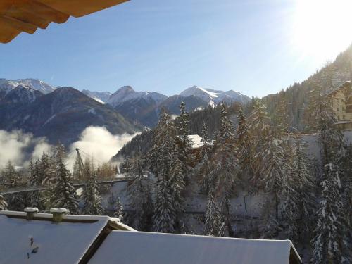 a view of a mountain with snow covered trees at Pension Alpenrose in Serfaus