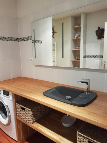 a bathroom with a sink and a washing machine at Appartement Cap Horn in Le Mont-Dore