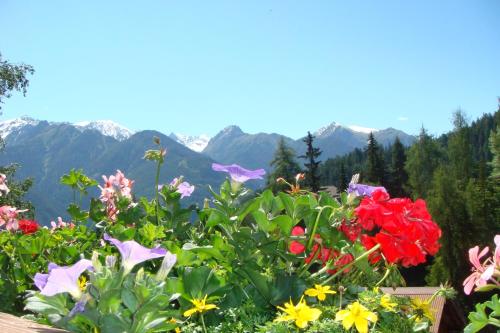 a garden of flowers with mountains in the background at Pension Alpenrose in Serfaus