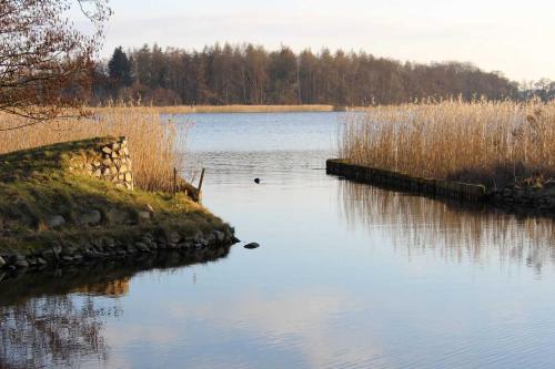 濱湖克拉科的住宿－Residenz am Krakower See，一片大片的草木水