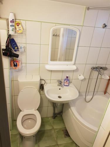 a small bathroom with a toilet and a sink at MRI Residence in Cluj-Napoca
