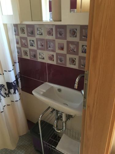 a bathroom with a sink and a mirror at House Kupina in Gdinj