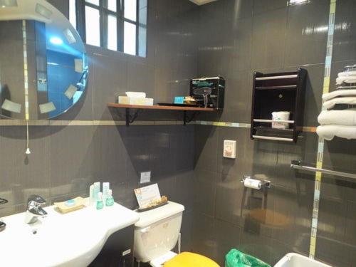 a bathroom with a sink and a toilet and a mirror at Cool Running Apartments in Saint Georgeʼs