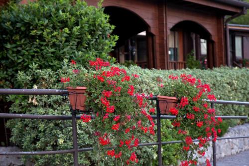 a bunch of red flowers in planters on a fence at Agriturismo Il Mio Casale in Monte Colombo