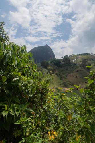 a large rock in the middle of a field with trees at Ecolodge Bahia del Peñón in Guatapé