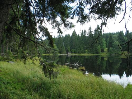 Gambar di galeri bagi Hotel Srní depandance - Šumava di Srní