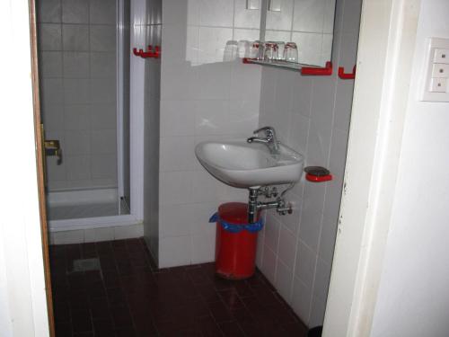 a small bathroom with a sink and a shower at Apartma Ravbar Portorož in Portorož