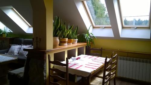 a table and chairs in a room with windows at NOCLEGI U STASI in Cisna