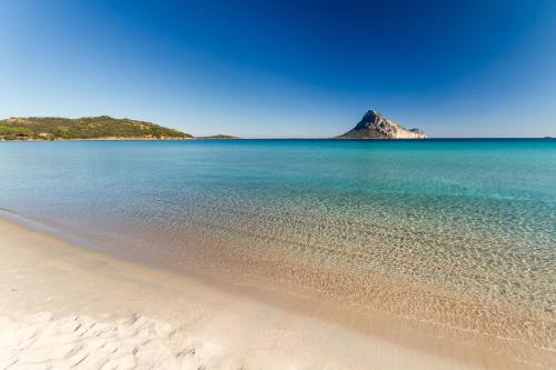 a view of a beach with a mountain in the distance at Molarotto in Porto Taverna