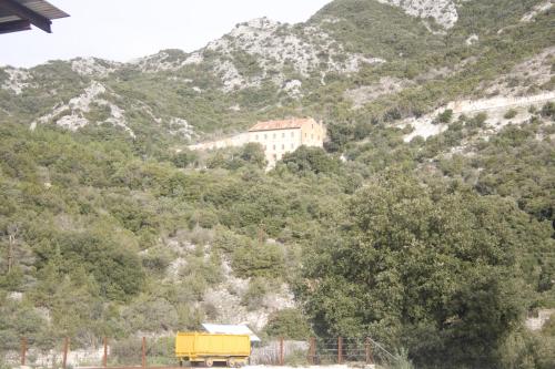Gallery image of Student's Hostel Gowett in Campiglia Marittima