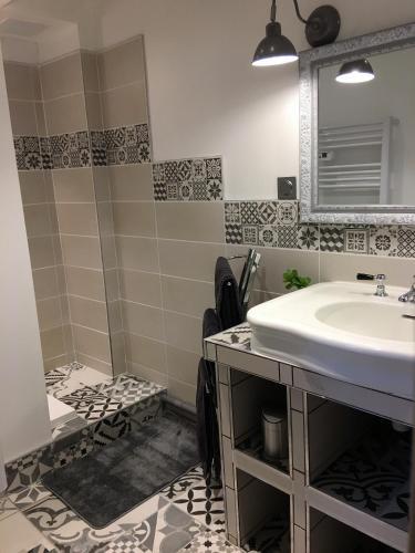 une salle de bain avec un lavabo et une douche dans l'établissement Au Bonheur Dupré B&B, à Montoire-sur-le-Loir