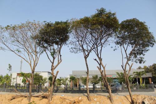 Gallery image of A5 hotel in Nellore